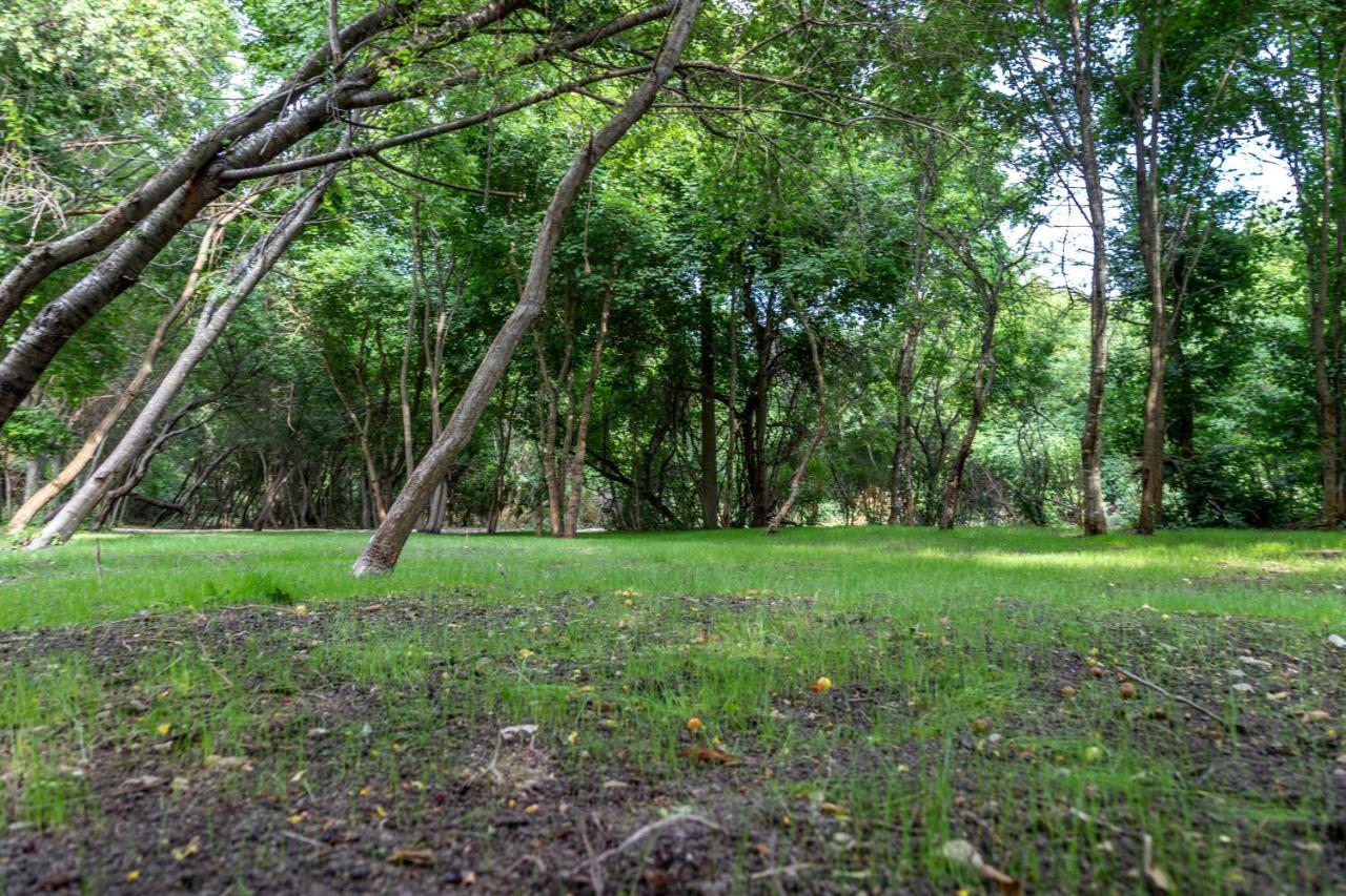 Apartment Ecopark Tuzlata екопарк тузлата Baltschik